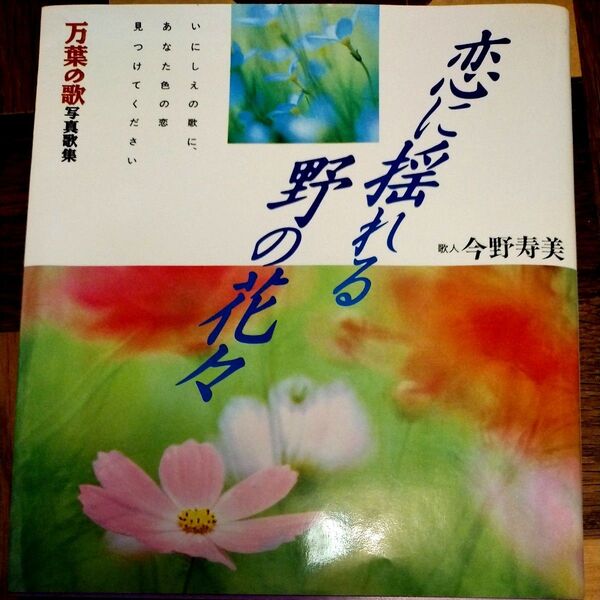 恋に揺れる野の花々 万葉の歌写真歌集 今野寿美/著 送料込み