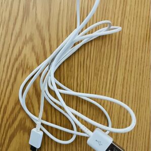 ジャンク品 USBケーブル iPhone充電器