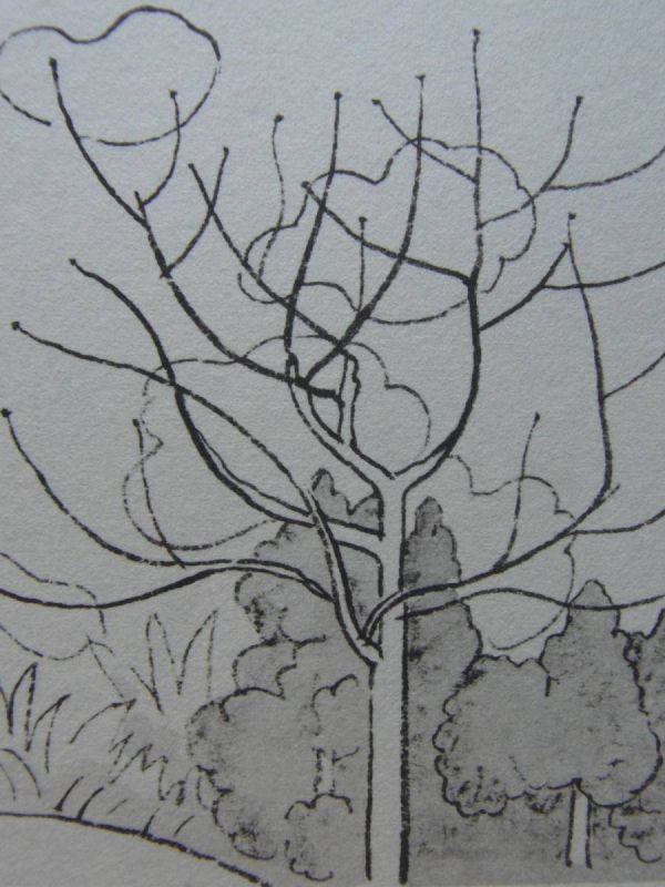 Taketaka Ono [Spring Buds] Libro de arte de lujo, Buen estado, Nuevo enmarcado de alta calidad., envío gratis, pintura japonesa, cuadro, pintura japonesa, flores y pájaros, pájaros y bestias