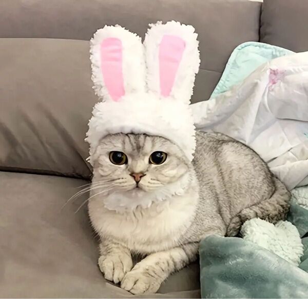 犬猫用ふわもこキュートなうさぎに変身かぶりもの帽子ペットハット 記念写真撮影にも最適!!うさ耳にゃん子!