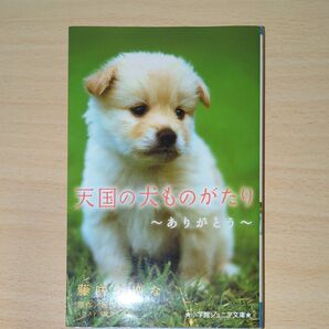 天国の犬ものがたり 〔5〕 (小学館ジュニア文庫 ジほ-1-5) 堀田敦子/原作 藤咲あゆな/著 環方このみ
