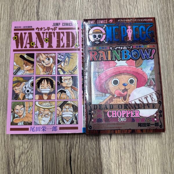 ONE PIECE RAINBOW! オフィシャルアニメーションGUIDE ウォンテッド 2冊セット ワンピース