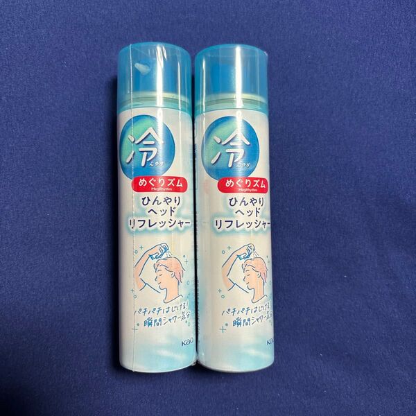 めぐりズム ひんやりヘッドリフレッシャー 50g×2本