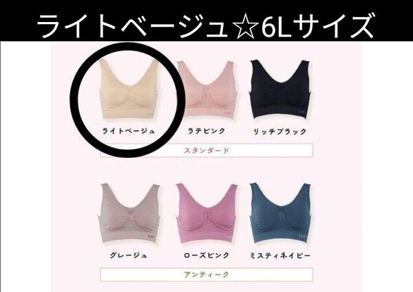 ジニエインテグレートブラ☆ ライトベージュ☆ 6Lサイズ☆ 洗濯ネットつき☆