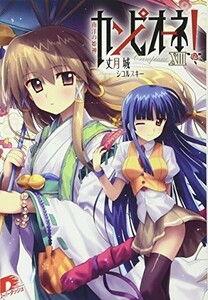 カンピオーネ13南洋の姫神(カンピオーネシリーズ)(集英社スーパーダッシュ文庫)/丈月城■17118-20040-YBun