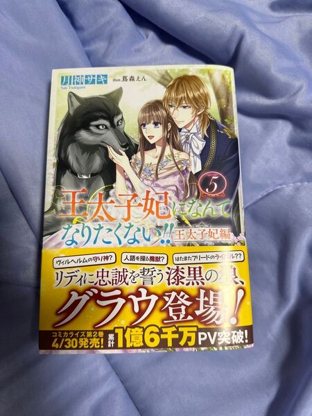 王太子妃になんてなりたくない!!王太子妃編5