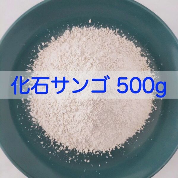 【送料無料】アクアリウム用 化石サンゴ500g 水質改善 pH調整に メダカ 錦鯉