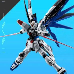 超合金 ZGMF-X10A フリーダムガンダム Ver.GCP 国内正規品 輸送箱未開封 プレバン