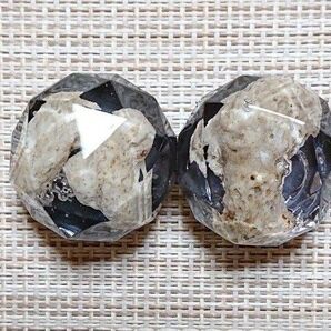 569《マグネット》2個セット 天然珊瑚 オフィスやご家庭用に!! ハンドメイド 強力マグネット使用