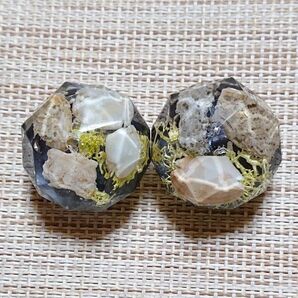 570《マグネット》 ハンドメイド 2個セット 貝殻 珊瑚 レジン 強力マグネット使用 多角形カット オフィスやご家庭に!! 文具
