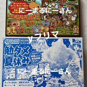 付録2点 結晶実験キット すごろく 勉タメジャンプ 2023年 夏 冬 summer winter 週刊少年ジャンプ 増刊