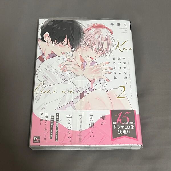 BL漫画 可哀想な君は僕だけの甘やかな傷 2 千野ち