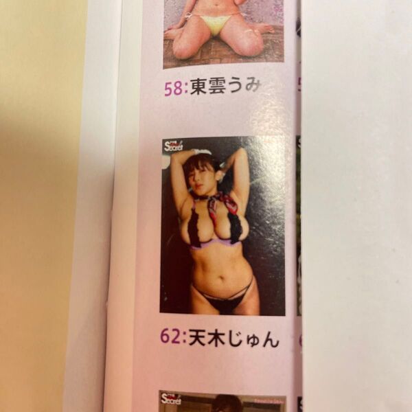天木じゅん アサ芸シークレットvol86 特大ポスター