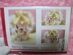 １枚クリスマスカード赤い封筒付き可愛いハムスターの写真入つぶやき入り新品未使用品　定価２００円