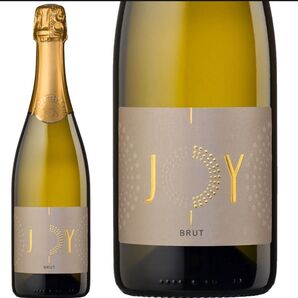 フランス コート・ド・ガスコーニュ Domainede Joy スパークリングワイン