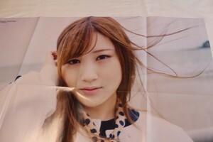 両面ポスター 乃木坂46 星野みなみ 日向坂46 金村美玖