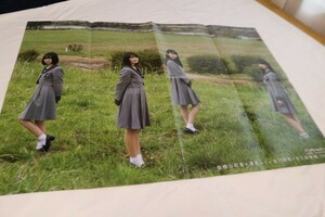  двусторонний постер Nogizaka 46 3