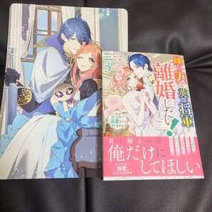 嫌われ妻は、英雄将軍と離婚したい! 3 (ZERO-SUMコミックス) 柊一葉 アニメイト特典付き
