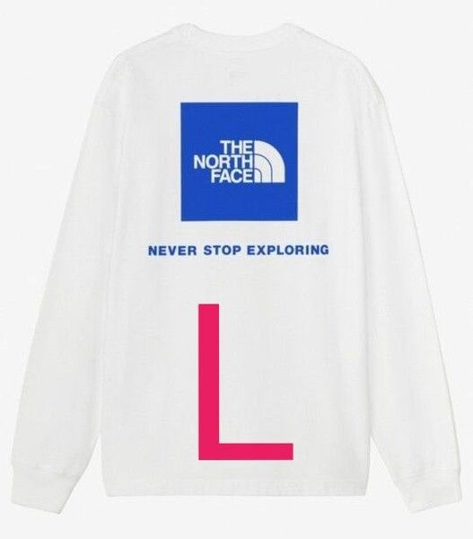 THE NORTH FACE/ザ・ノース・フェイス バックプリントロンT Lサイズ