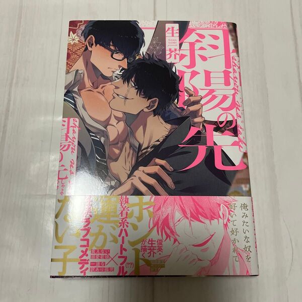 斜陽の先 生芥