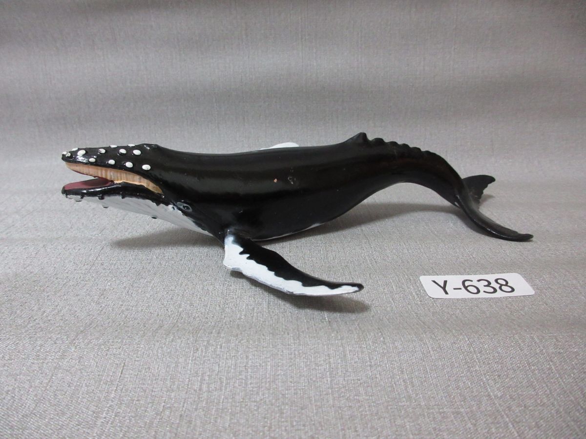 2025年最新】Yahoo!オークション -ザトウクジラの中古品・新品 2025年最新】Yahoo!オークション -ザトウクジラの中古品・新品