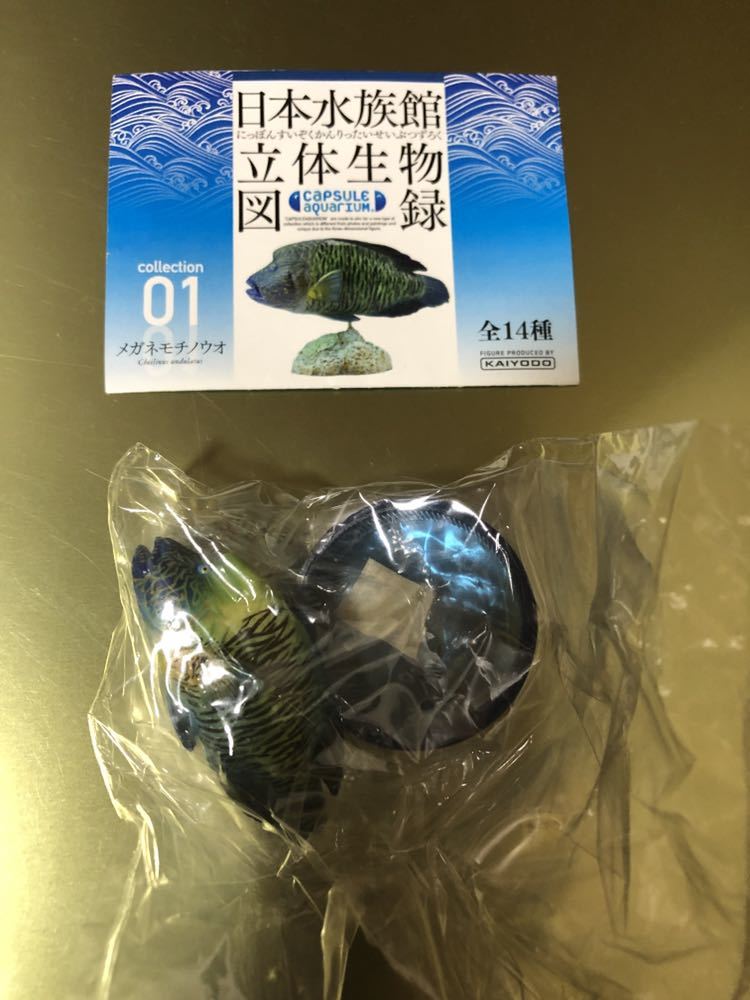 Yahoo!オークション -「日本水族館立体生物図録1」(おもちゃ Yahoo!オークション -「日本水族館立体生物図録1」(おもちゃ