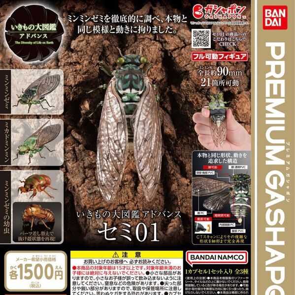 いきもの大図鑑アドバンス セミ01 全3種セット ガチャ 送料無料 匿名配送