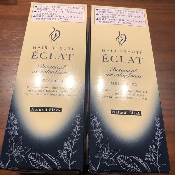 ヘアボーテ エクラ ボタニカル ヘアカラーファーム ヘアボーテエクラ ブラック ヘアボーテEX 80g 2箱 新ヘアボーテ