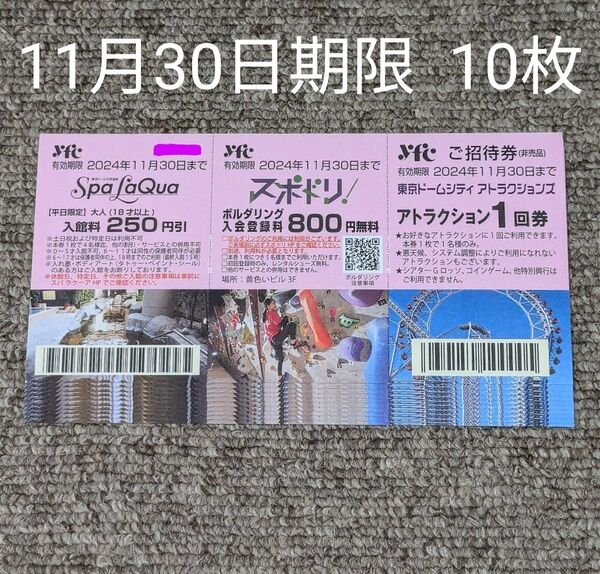 東京ドームシティ アトラクション チケット 10枚 11月30日まで有効