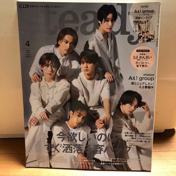 steady.(ステディ.) 2023年4月号 (宝島社)