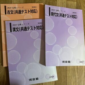 河合塾 完成シリーズ国語