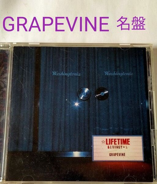 グレープバイン アルバム LIFE TIME Jポップ 邦楽 ロックンロール 名盤名曲 希少