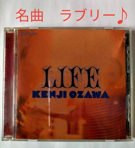小沢健二 アルバム LIFE 今夜はブギーバック エブリー 昭和 Jポップ レア 希少
