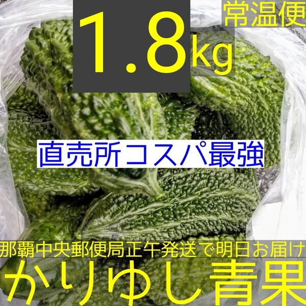 〈直売所コスパ最強〉沖縄県産ミニゴーヤB品約1.8kg【常温便】②