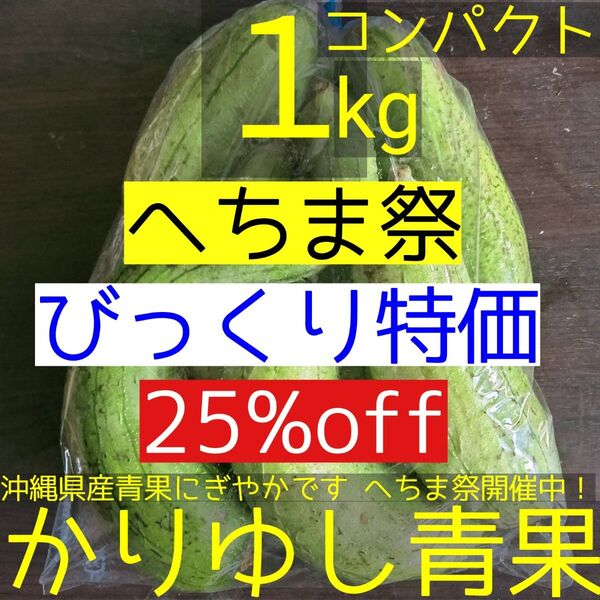 〈へちま祭・びっくり特価〉沖縄県産ミニヘチマB品約1kg【コンパクト】①