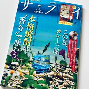 サライ 2024年 8月納涼特大号 美品です