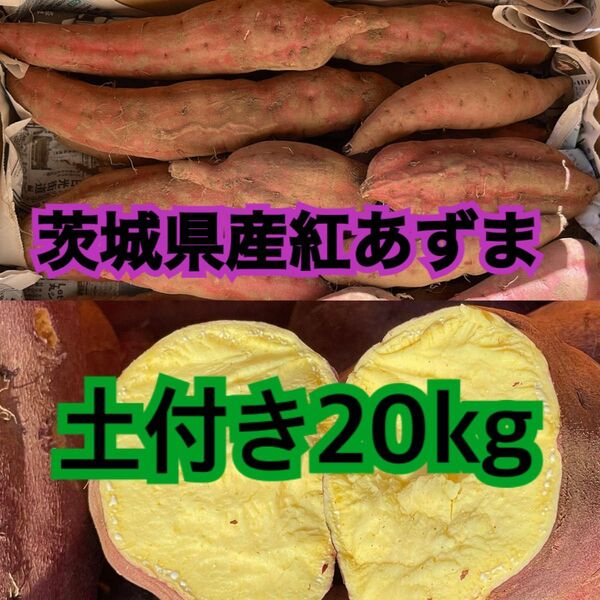 希少品種★約20kg茨城県産紅あずま※土付きなので長期保管◎様々なサイズの詰め合わせです。