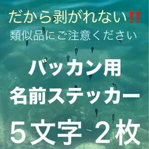 安心の1年保証! バッカン等に強粘着シート5文字2枚の価格です