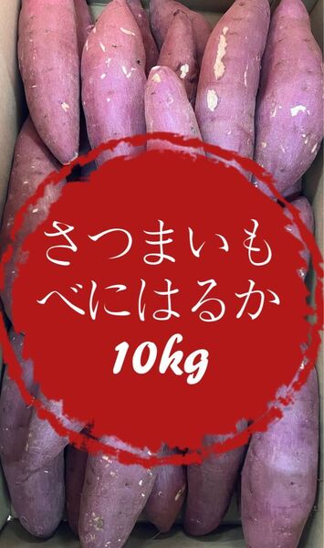 野菜 さつまいも べにはるか 10kg 大容量 お得 訳あり