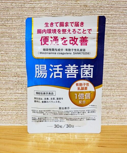 腸活善菌 便通改善 乳酸菌 サプリ 1億個配合 ビフィズス菌 食物繊維 30日分