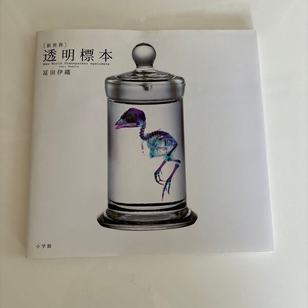 透明標本