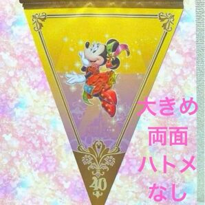 ディズニー 40周年 ガーランド タペストリー ミニー 大きめ ☆