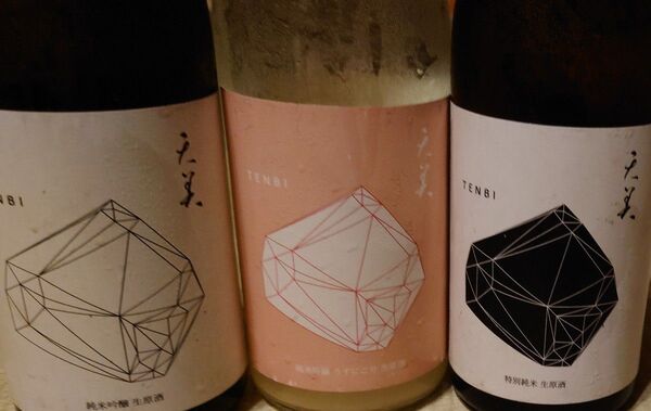 天美 純米吟醸 生原酒 うすにごり生原酒 特別純米酒生原酒 720ml 3本