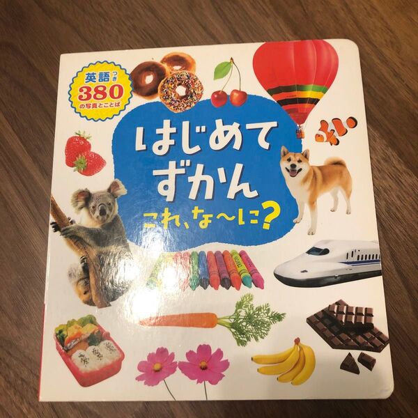 はじめてずかん