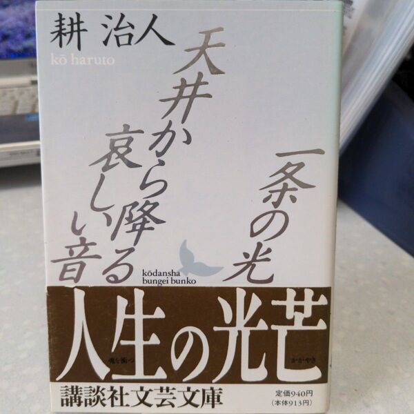 一条の光・天井から降る哀しい音 耕治人