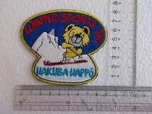 80s 志賀高原 スキー クマ キャラクター 長野 ワッペン /パッチ 昭和レトロ かわいい ポップ ウィンタースポーツ お土産 72_画像6