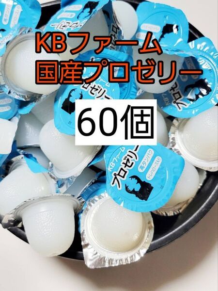 【送料無料】 国産 プロゼリー16g 60個 KBファーム 昆虫ゼリー カブトムシ クワガタ ハムスター等 小動物
