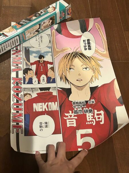 音駒 音駒高校 孤爪 黒尾 ポスター ハイキュー