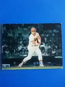 1983年 カルビー プロ野球カード 日本ハム 柏原純一 No.229