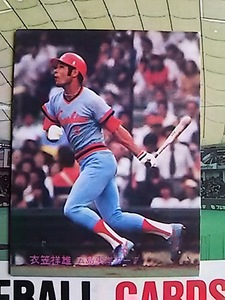 1981年 カルビー プロ野球カード 広島 衣笠祥雄 No.306